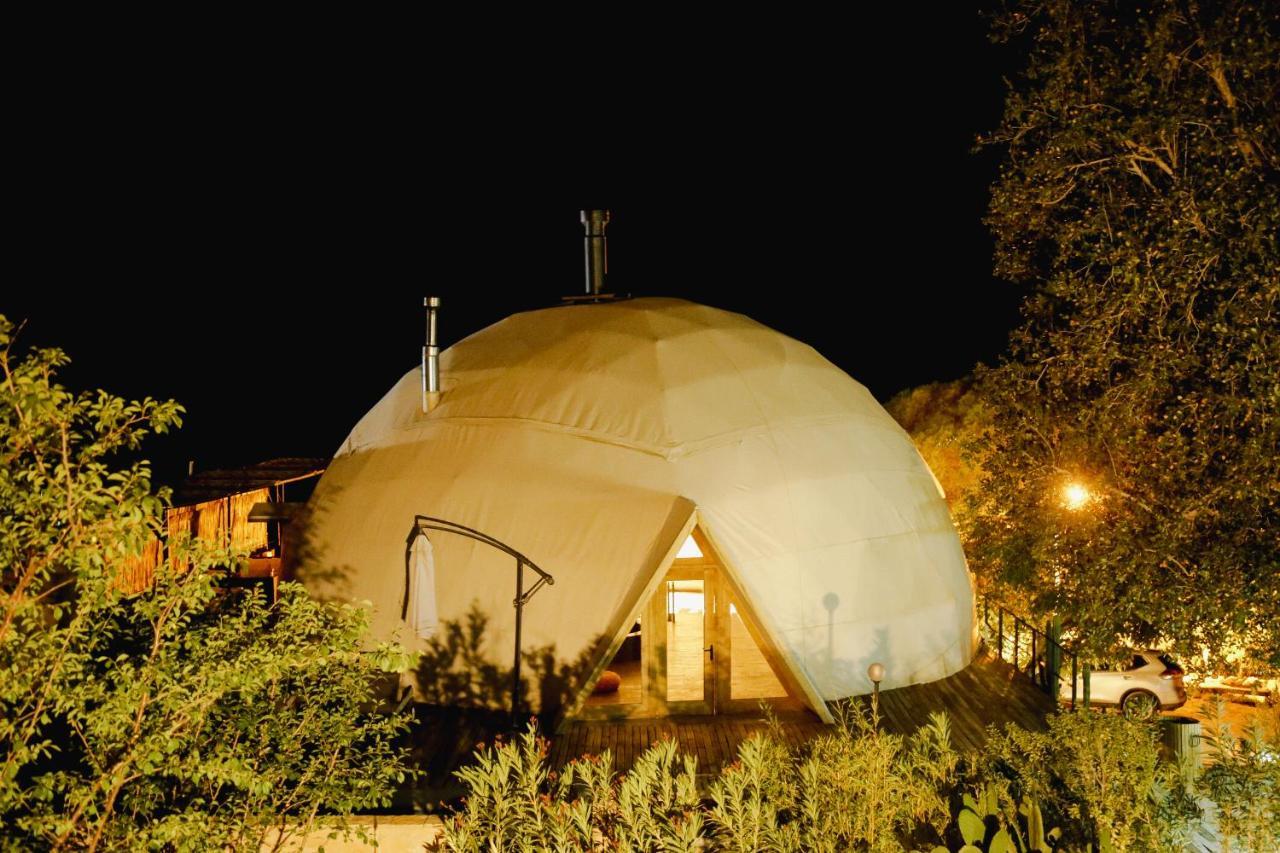 Milodge Elqui Domos Pisco Elqui Exteriör bild