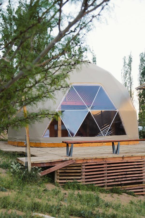 Milodge Elqui Domos Pisco Elqui Exteriör bild
